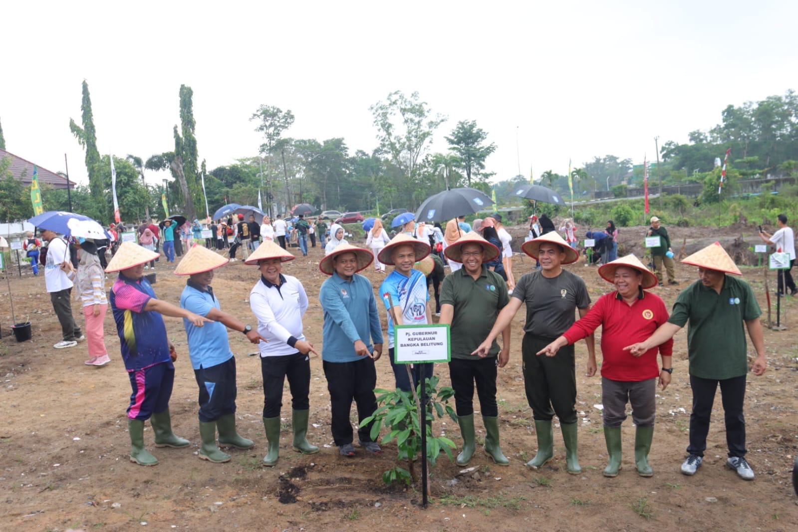 Lahan 2,1 Hektare Pemprov Kep. Babel Ditanami Buah Lokal