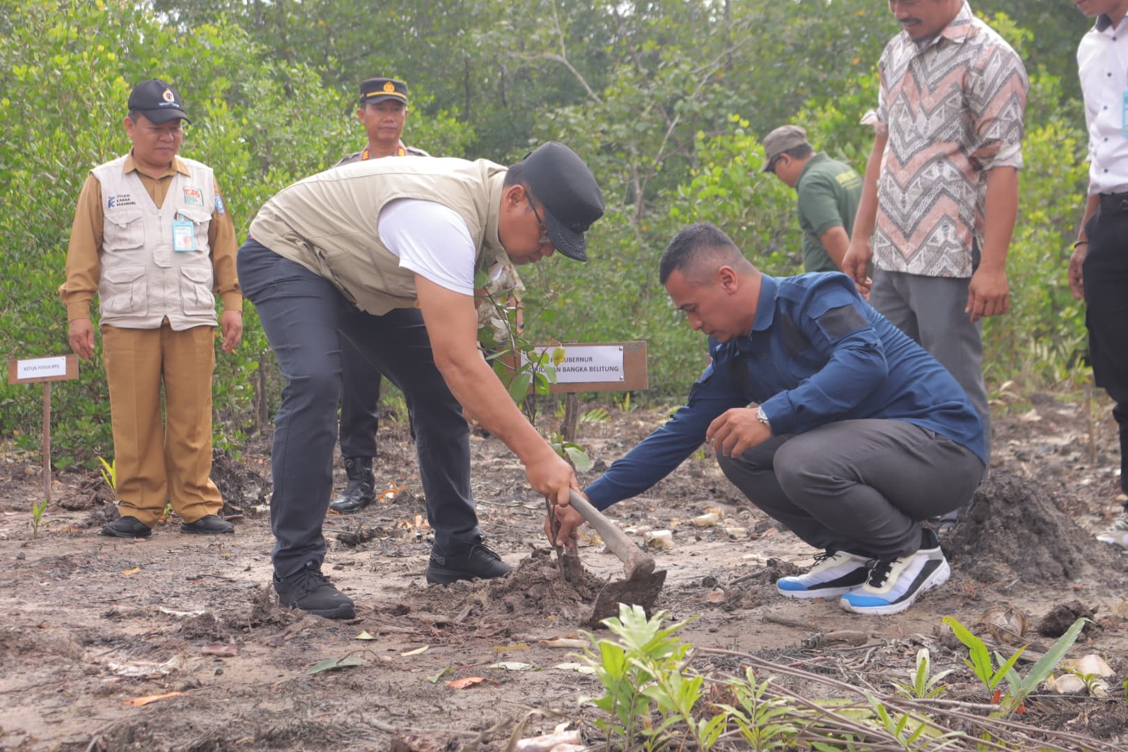 Tanam Mangrove dan Budidayakan Kerang Darah, Sugito Apresiasi Kelompok Tani Hutan HKM Wanamina