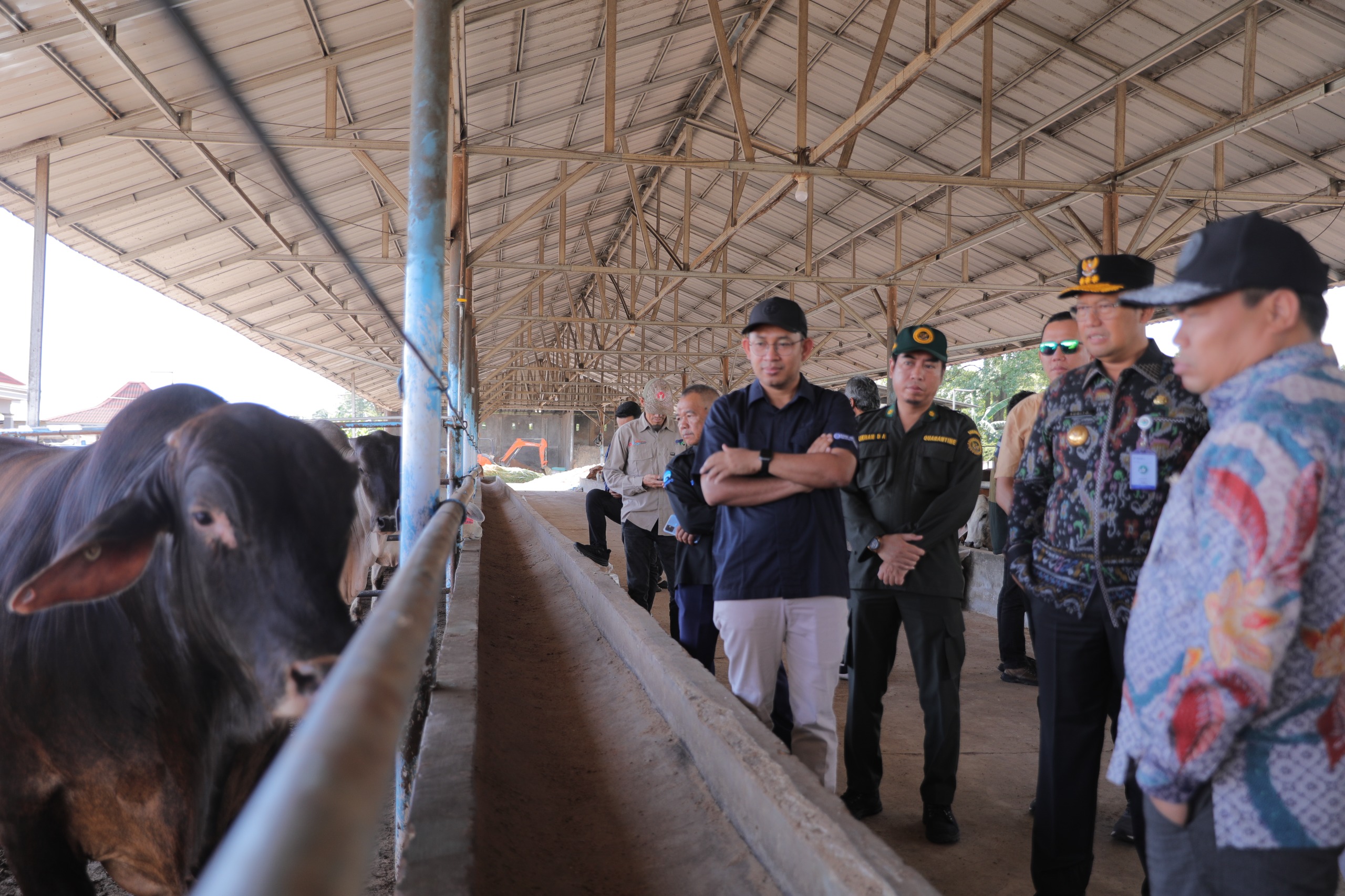 Stok Daging di Babel Menjelang Puasa dan Lebaran Aman