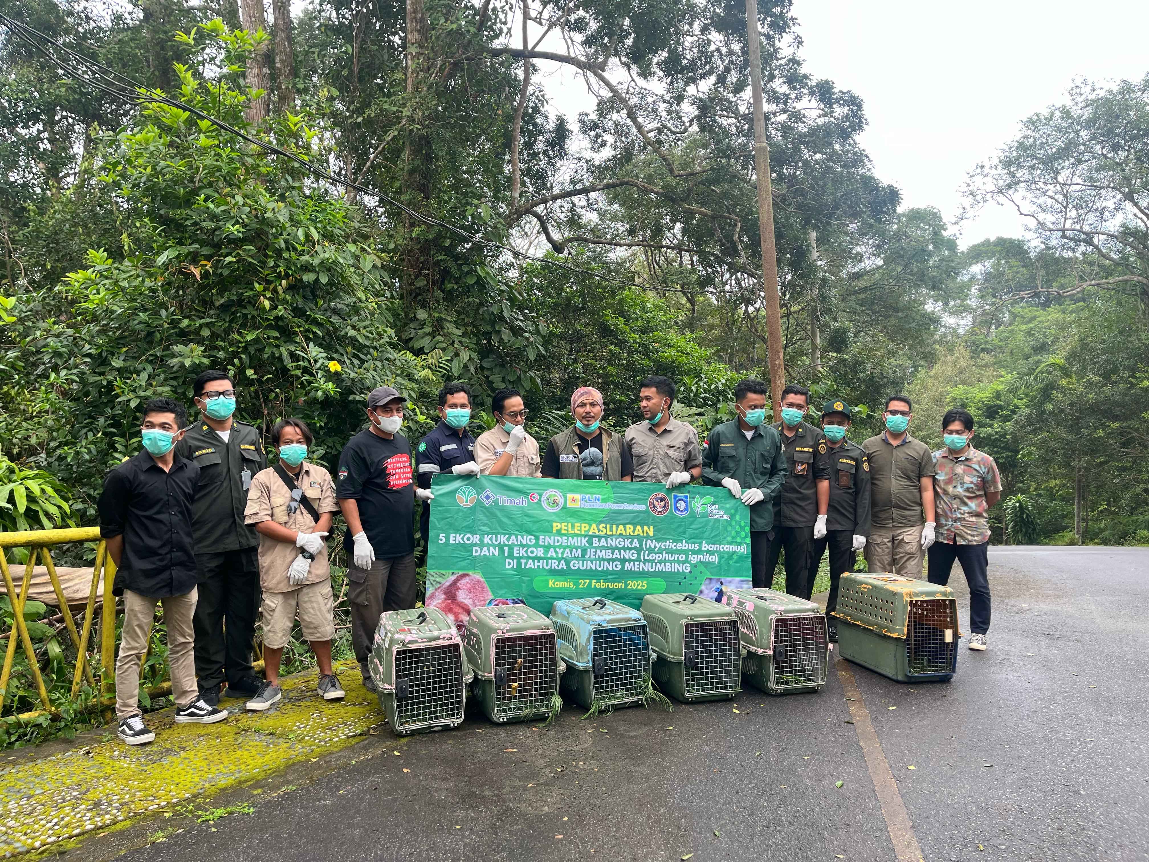 Karantina Babel Secara Bersama Lepasliarkan Satwa Liar Dilindungi Berupa Ayam Jembang dan Kukang Bangka
