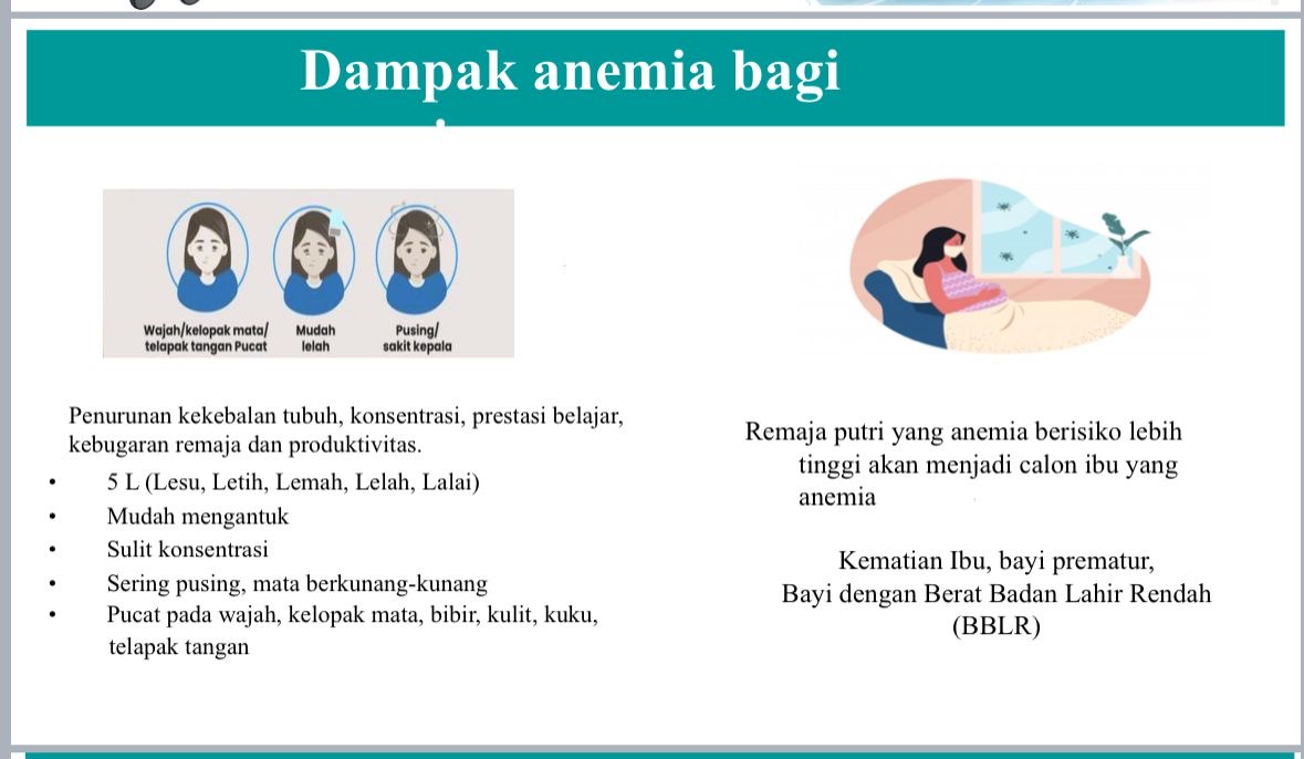 Slide 0